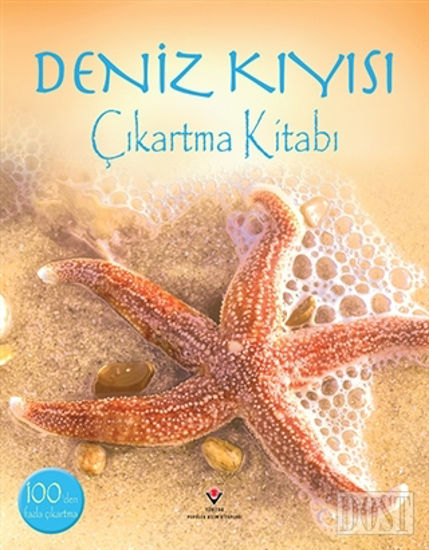 Deniz Kıyısı